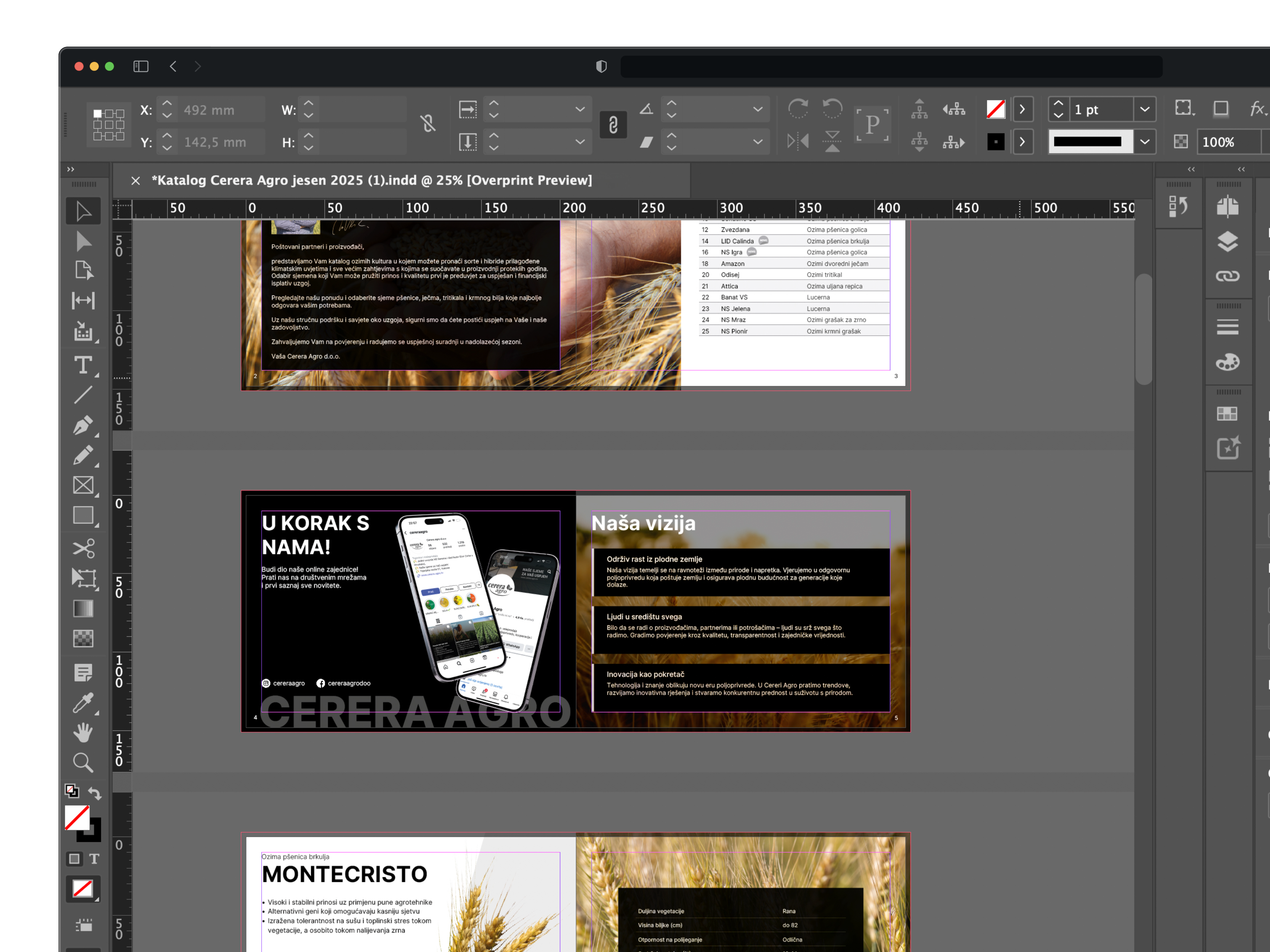 Grafika prikaza grafičkog dizajna