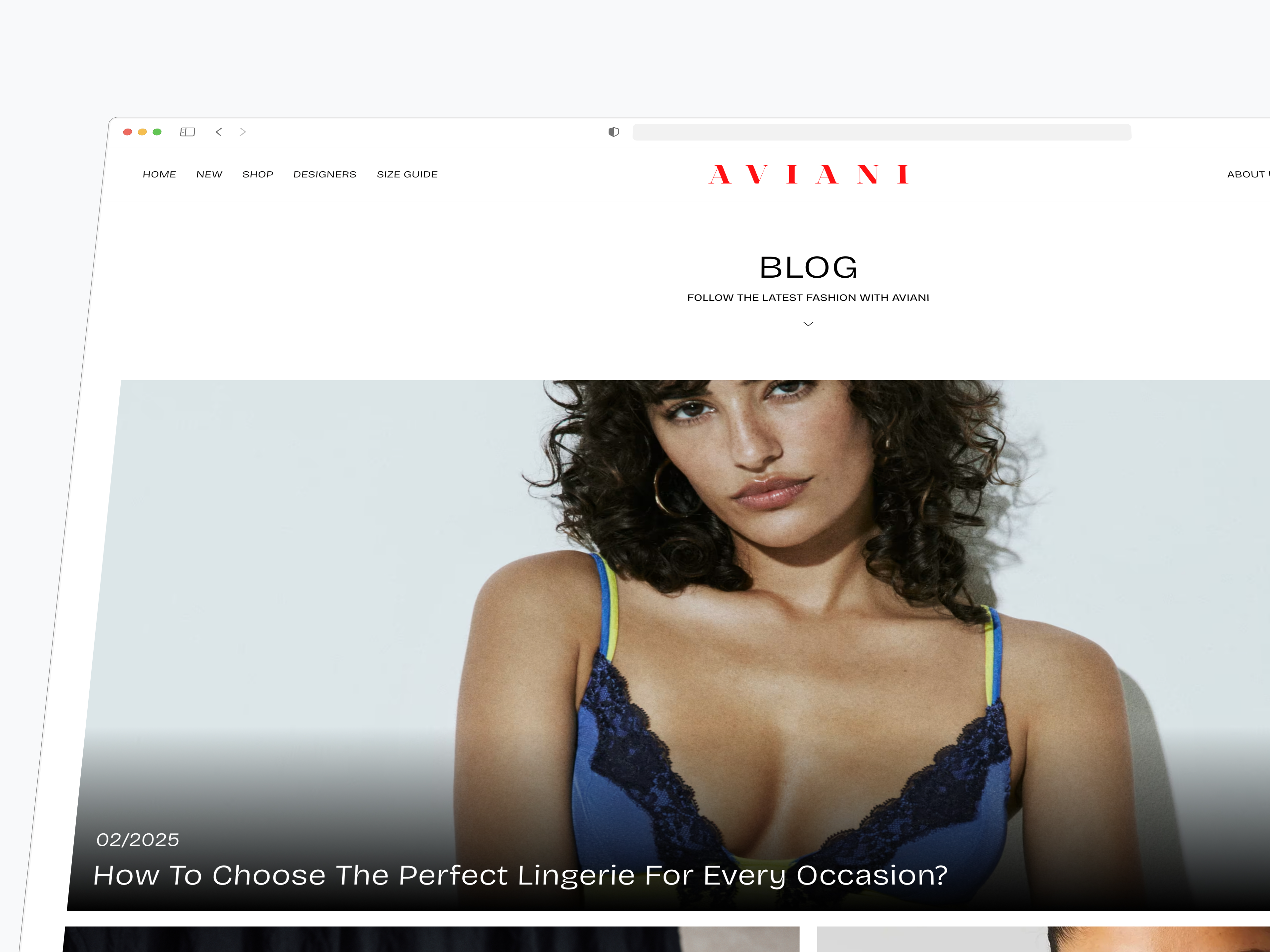 Prezentacija dizajna blog stranice webshop-a za Aviani