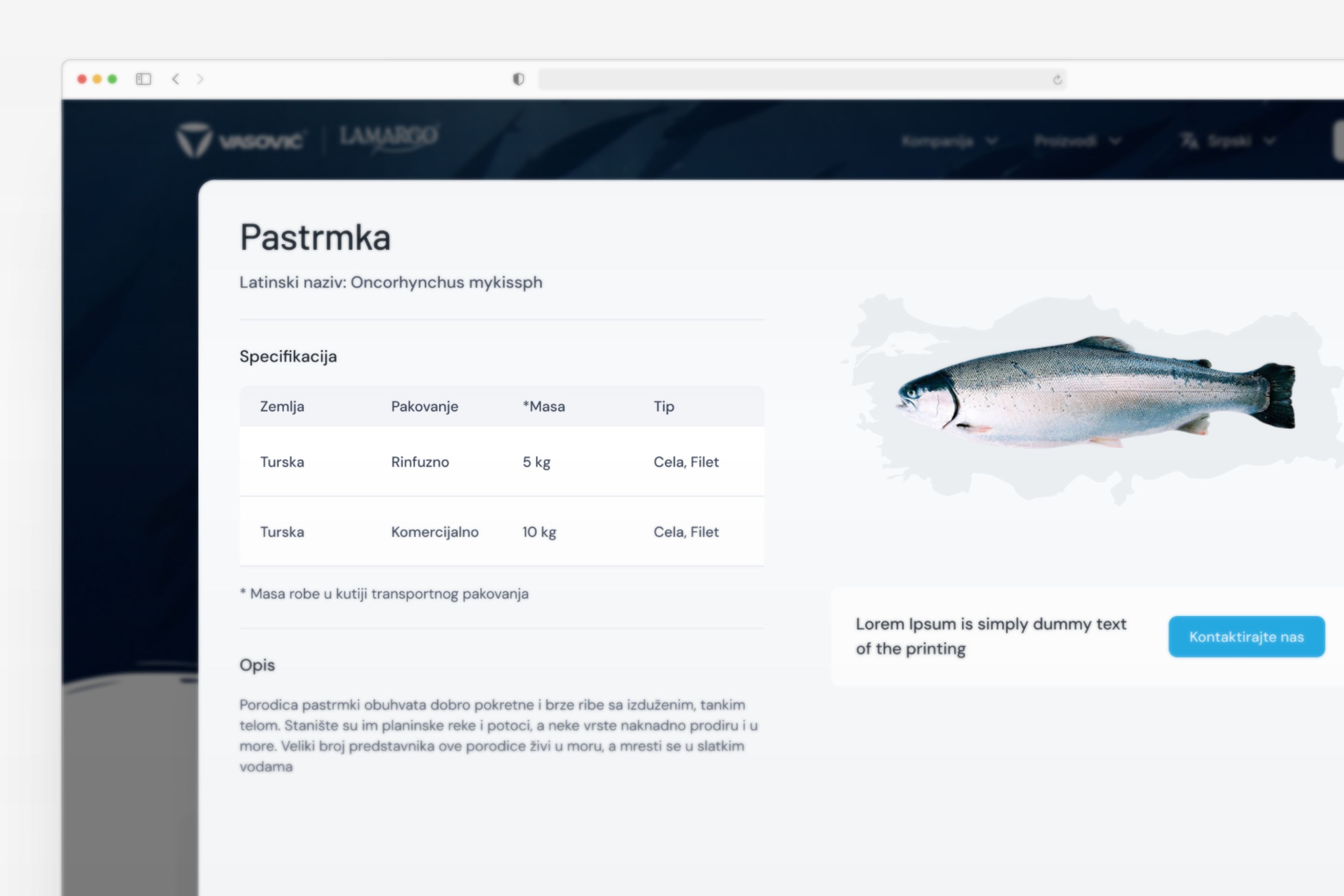 Prezentacija dizajna stranice ponude web stranice za Vasović