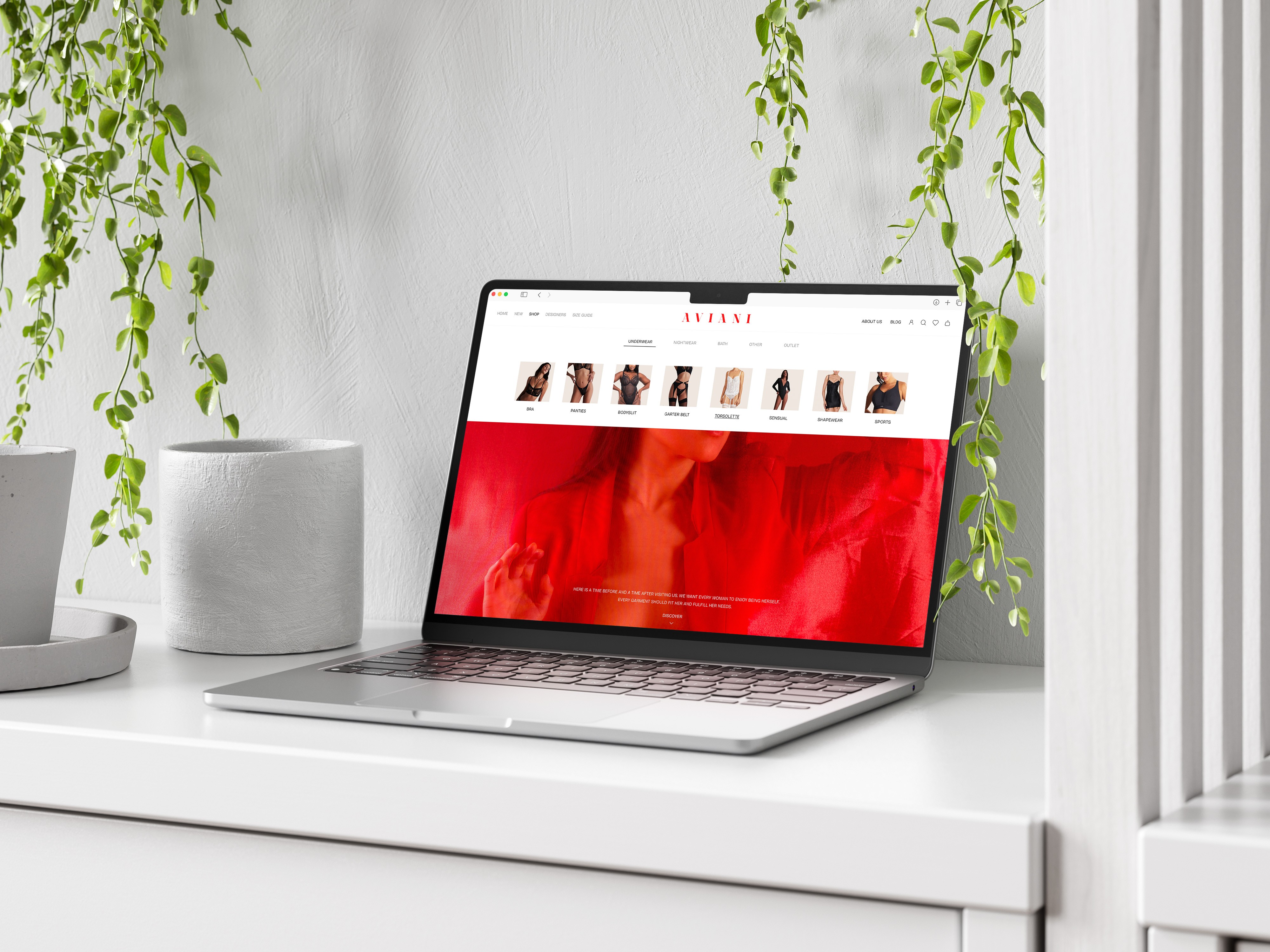 Prezentacija dizajna početne stranice webshop-a za Aviani